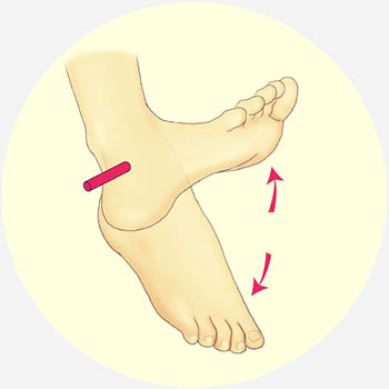 foot tendonitis exercises